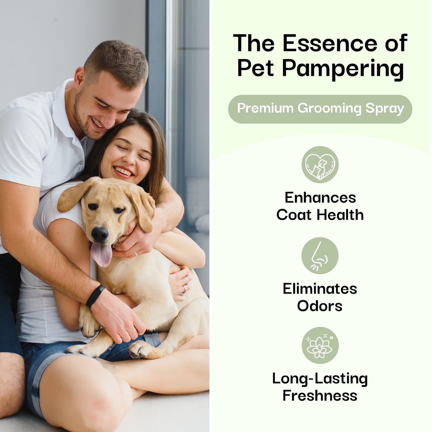 Natural Dog Cologne and Odor Eliminator - Dog Grooming Spray 3pack (Show Dog)