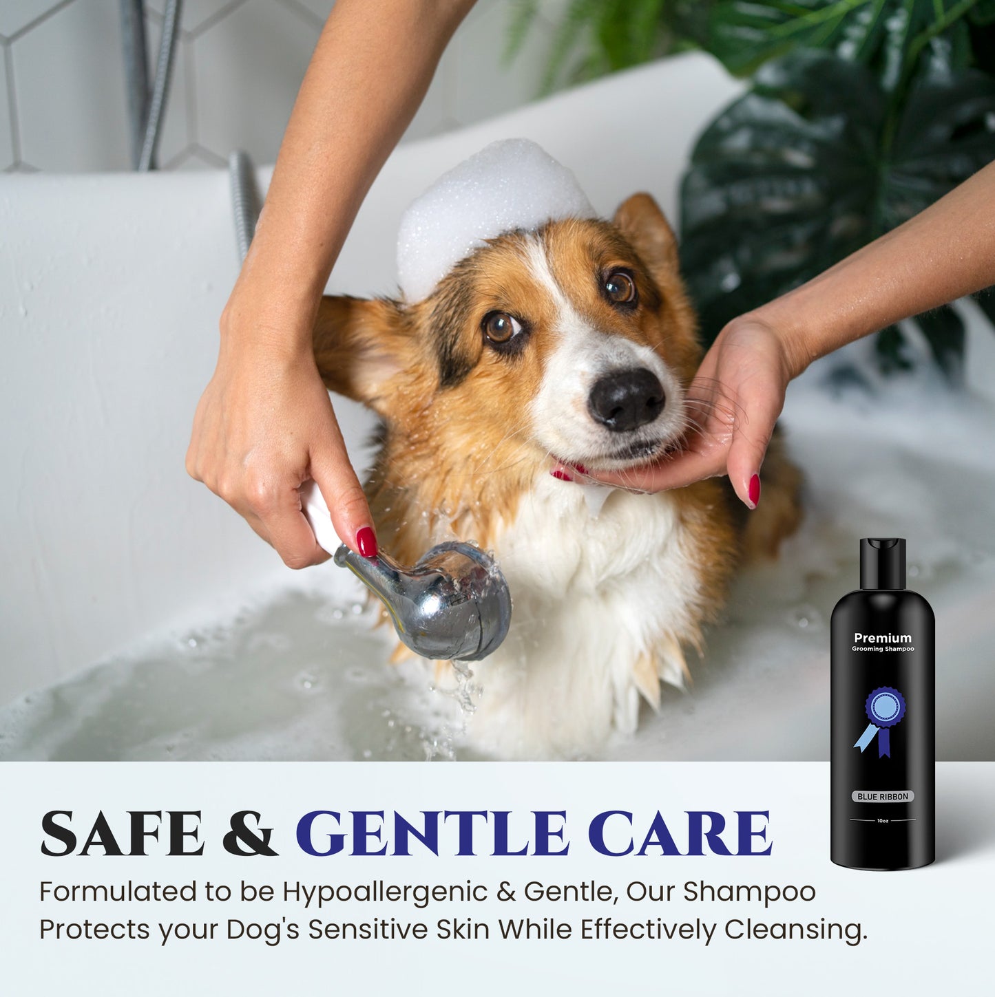 Natural Dog Shampoo for Itchy and Sensitive Skin (Blue Ribbon)