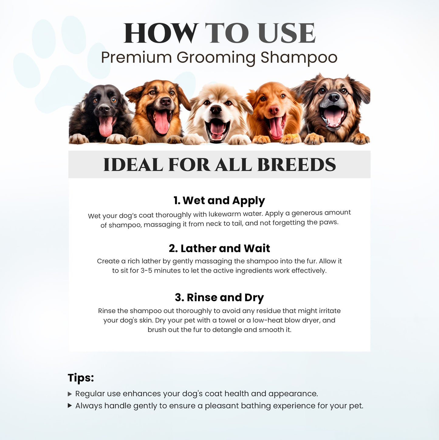 Natural Dog Shampoo for Itchy and Sensitive Skin (Show Dog)