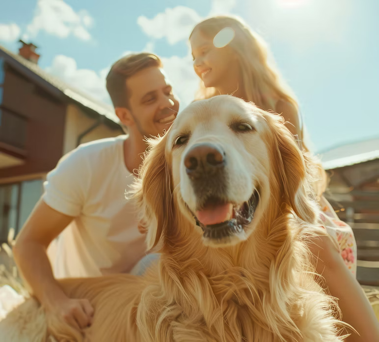 Custom Acrylic Dog Portrait – Personalized Photo Display with Wood Base