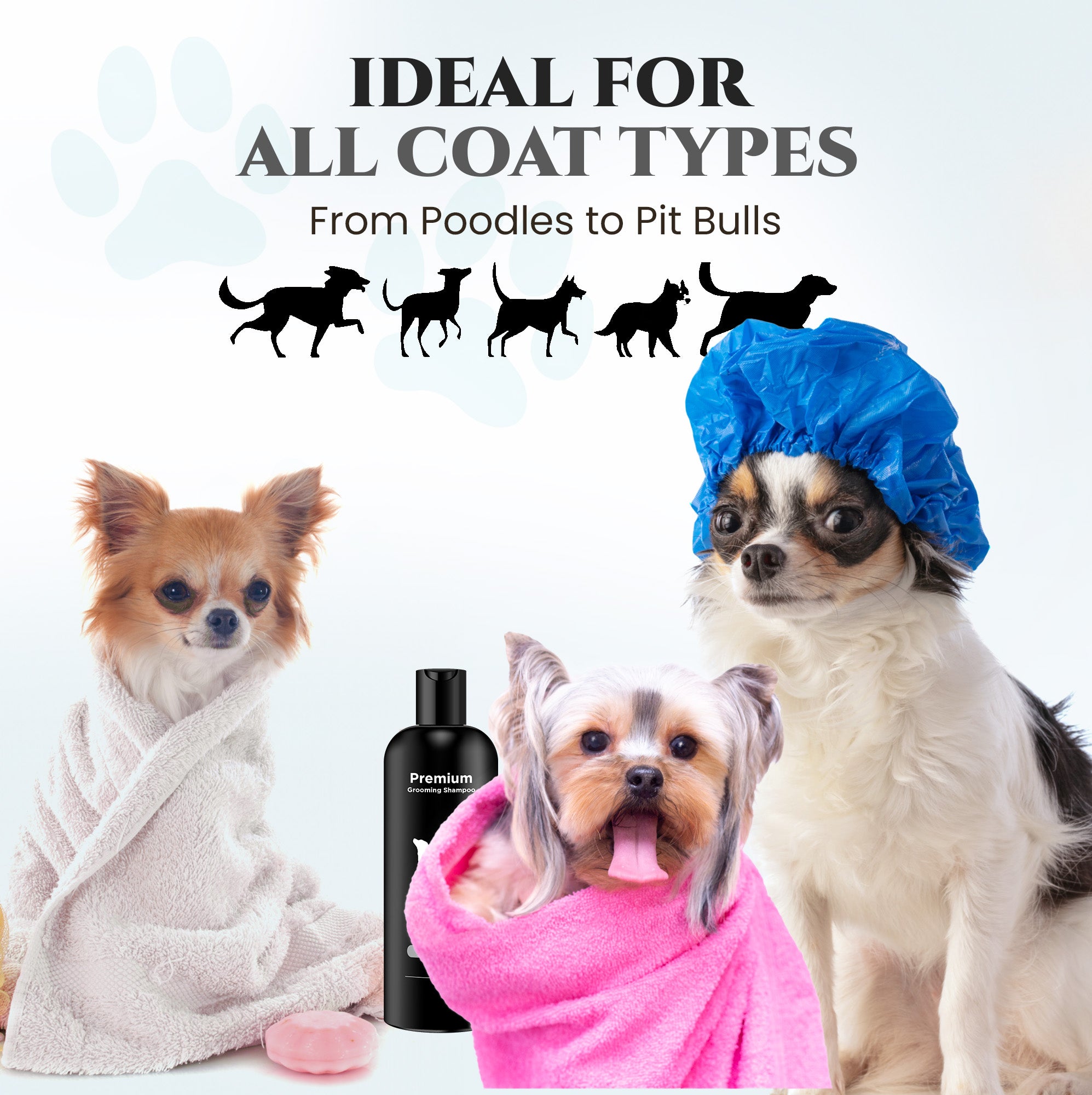 Natural Dog Shampoo for Itchy and Sensitive Skin (Show Dog)