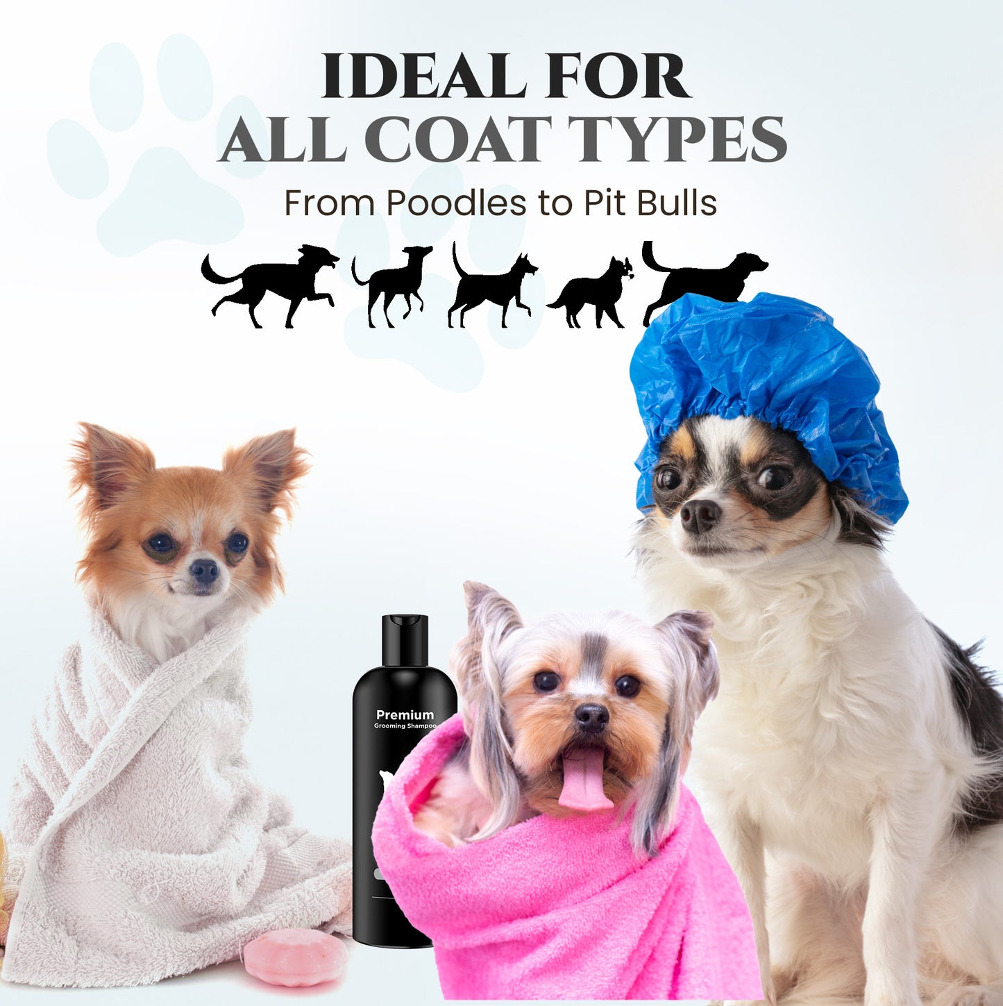 Natural Dog Shampoo for Itchy and Sensitive Skin (Show Dog)