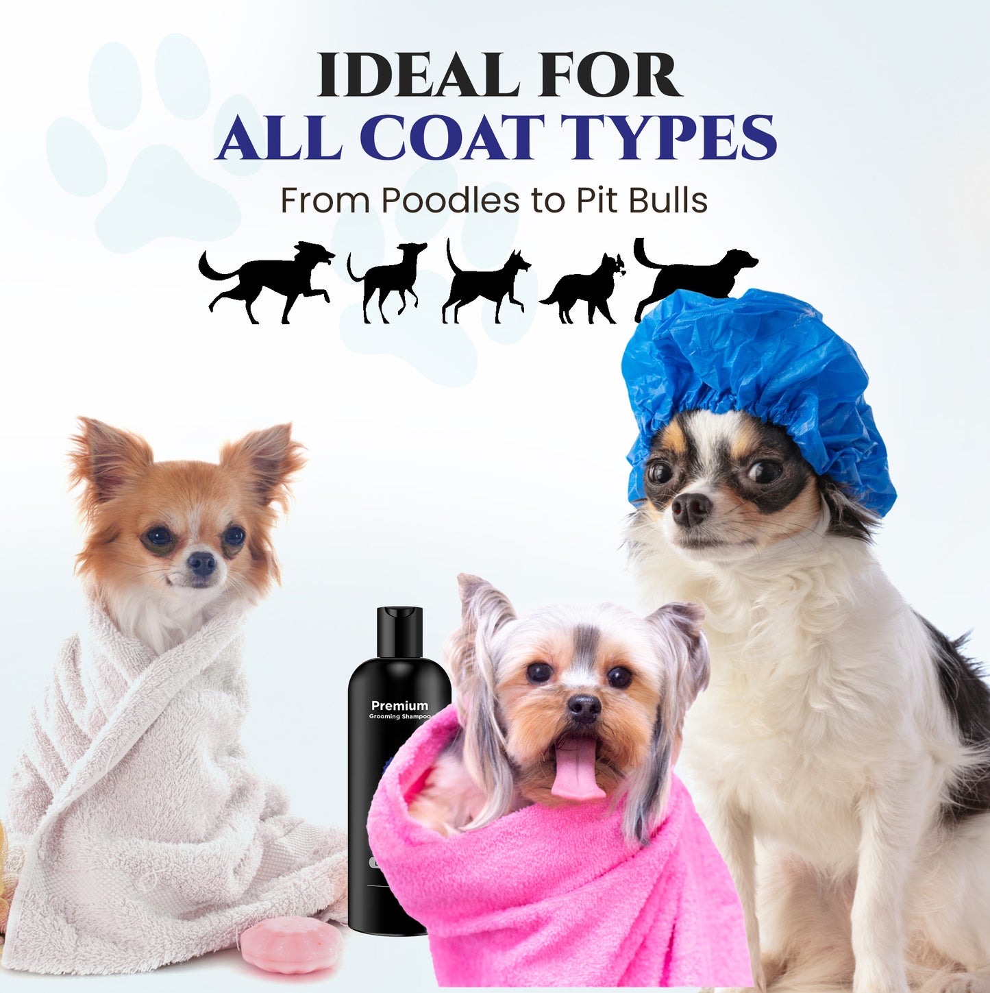 Natural Dog Shampoo for Itchy and Sensitive Skin (Blue Ribbon)