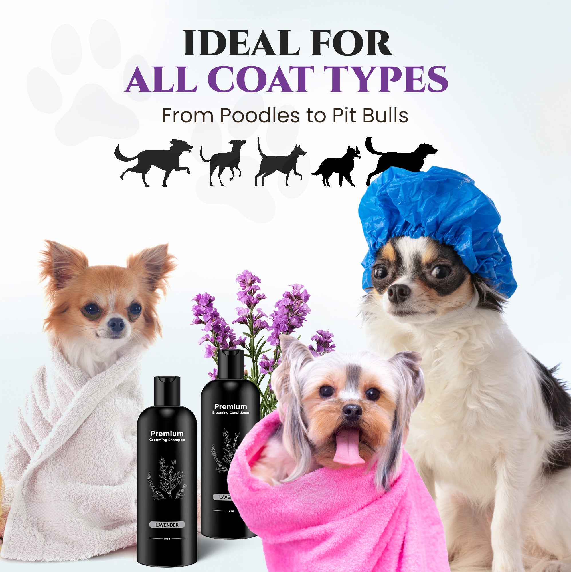 Natural Dog Shampoo & Conditioner for Itchy and Sensitive Skin (Lavender)