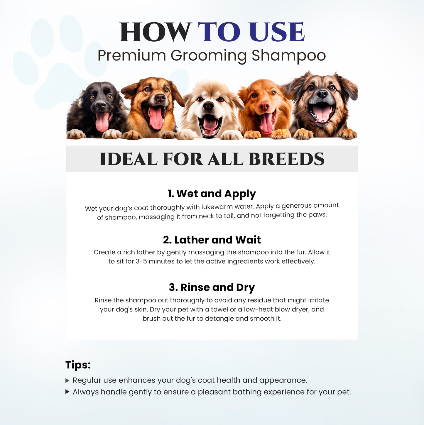 Natural Dog Shampoo for Itchy and Sensitive Skin (Blue Ribbon)