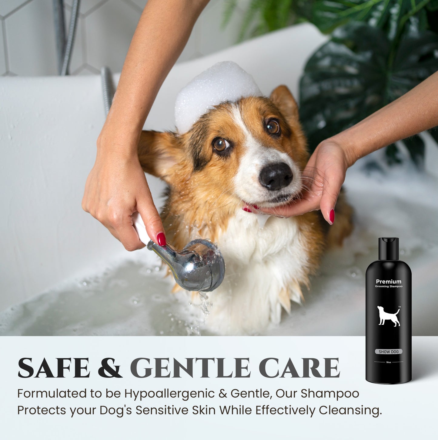 Natural Dog Shampoo for Itchy and Sensitive Skin (Show Dog)