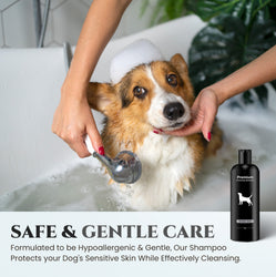 Natural Dog Shampoo for Itchy and Sensitive Skin (Show Dog)