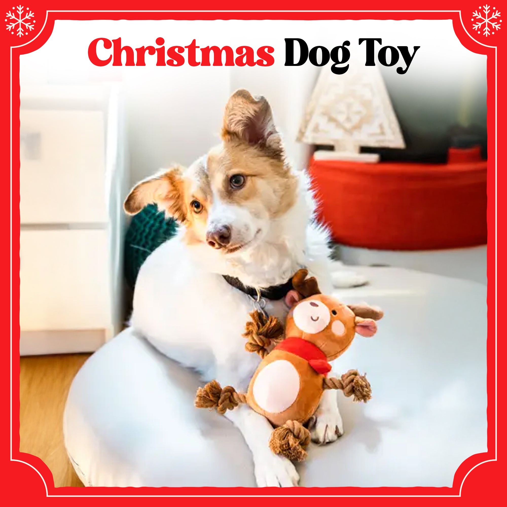 Christmas Basket with Shampoo, Cologne, Toy, Treats and a Dog Picture Frame